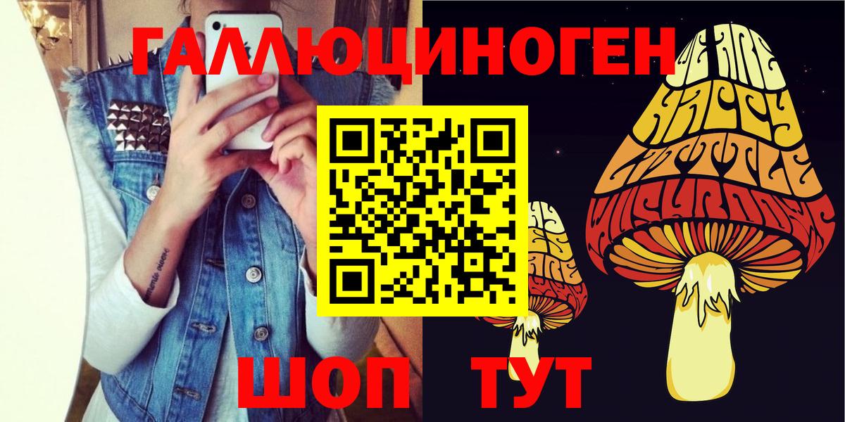 Красноуфимск  Псилоцибиновые грибы Cubensis  Вход с VPN 