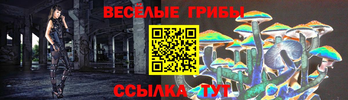 Псилоцибиновые грибы Psilocybine cubensis Красноуфимск